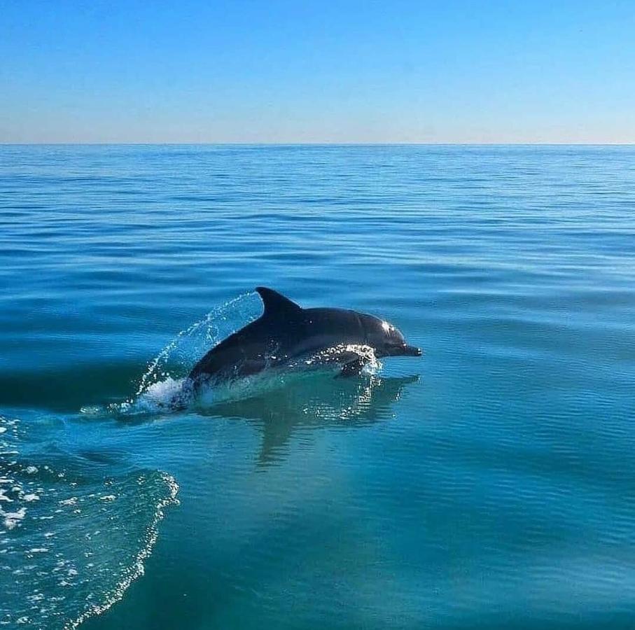 Спиро Gagra Esterno foto